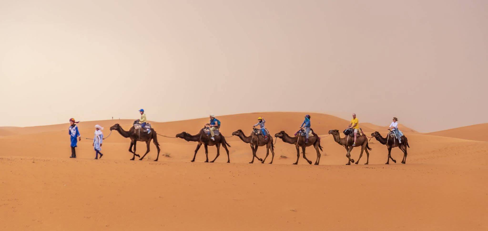 riding camel