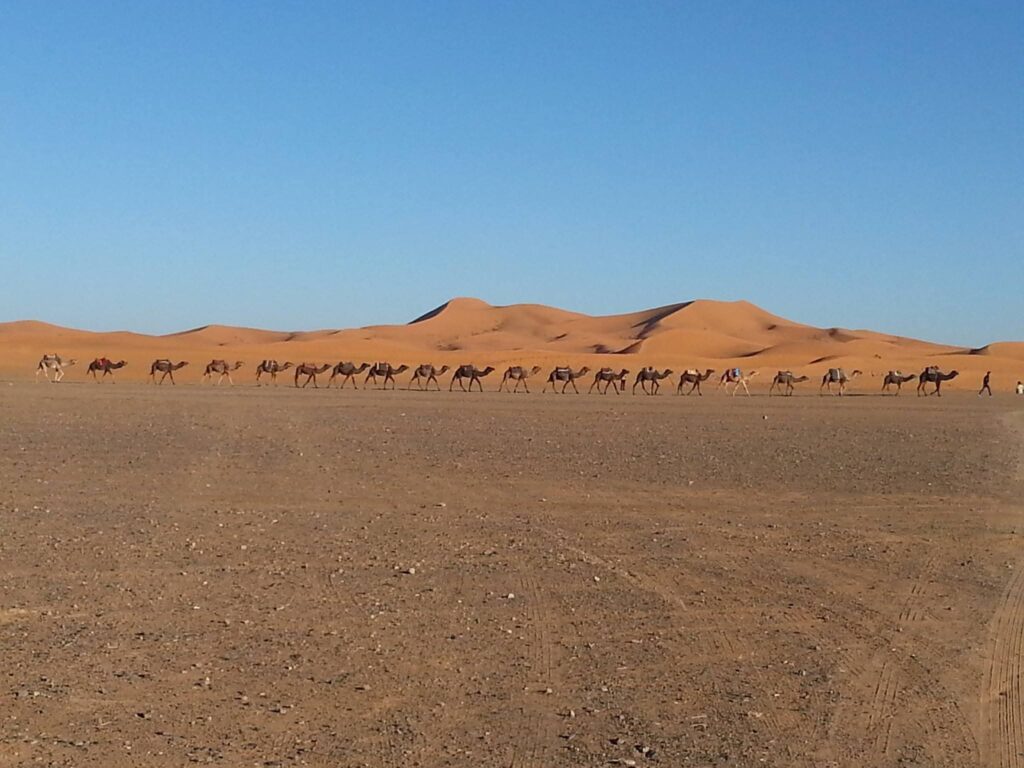 Shared 4 Days to Merzouga from Marrakech